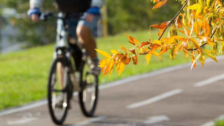 Bike Path