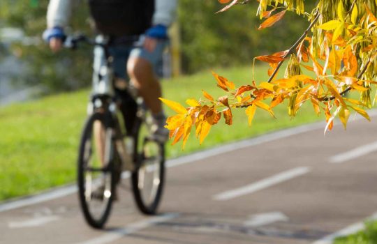 Bike Path2